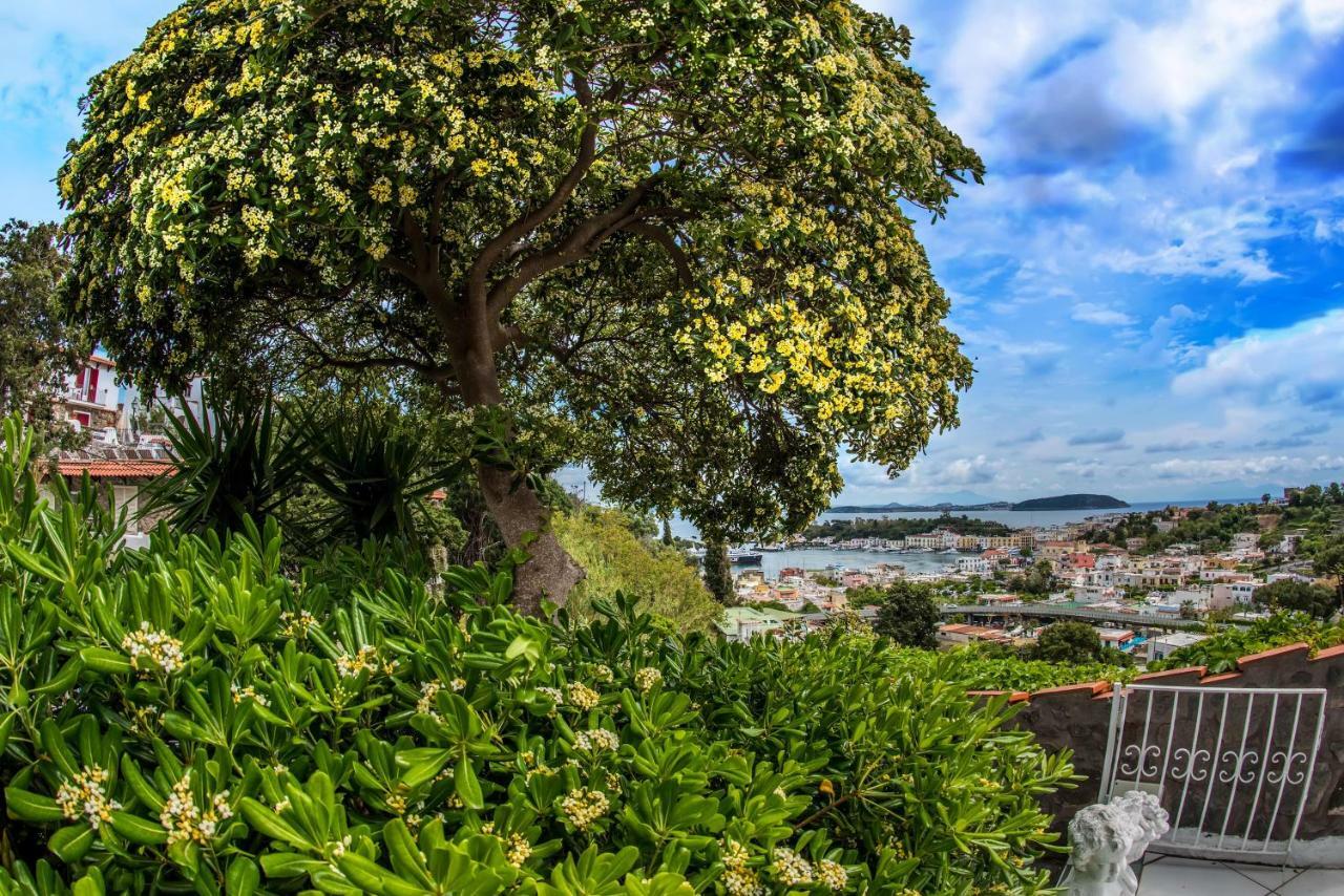 Апартаменти Ischia Dream Visions Екстер'єр фото
